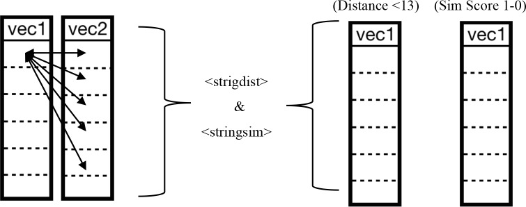 The distance metrics and string similarity process.
